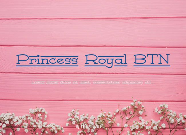 Princess Royal BTN example